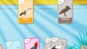 Play Bird Pax